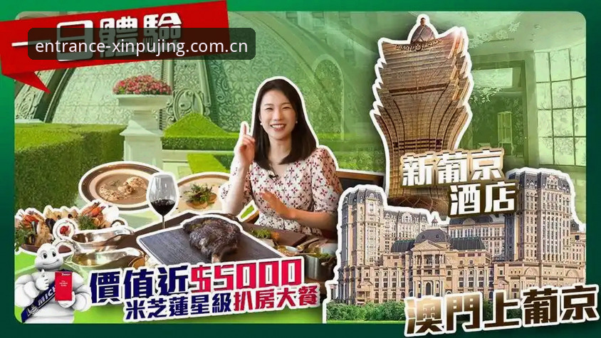深度揭秘新普京娱乐城官网背后的创新玩法与高效通道
